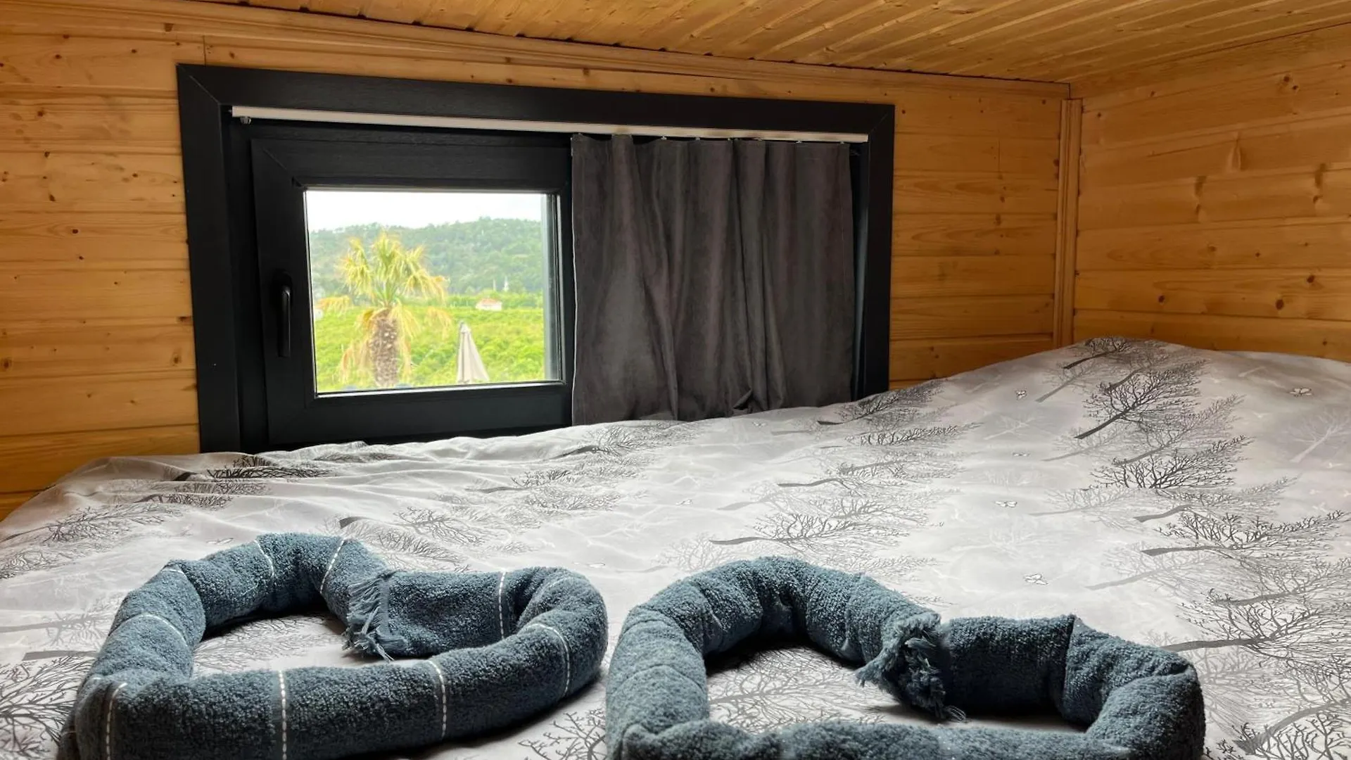 Kaktues Tiny House Apartment Dalaman Turkey